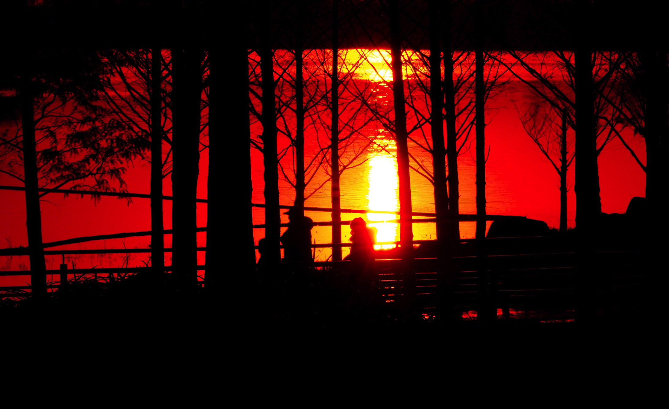 实拍4k逆光唯美湖边夕阳素材视频的预览图
