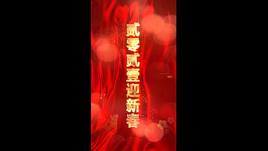 大气竖屏金字新年祝福贺词视频ae模板视频的预览图