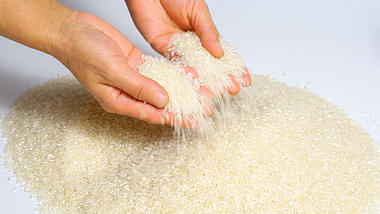 4K双手筛选捧起大米粒粮食稻谷视频的预览图