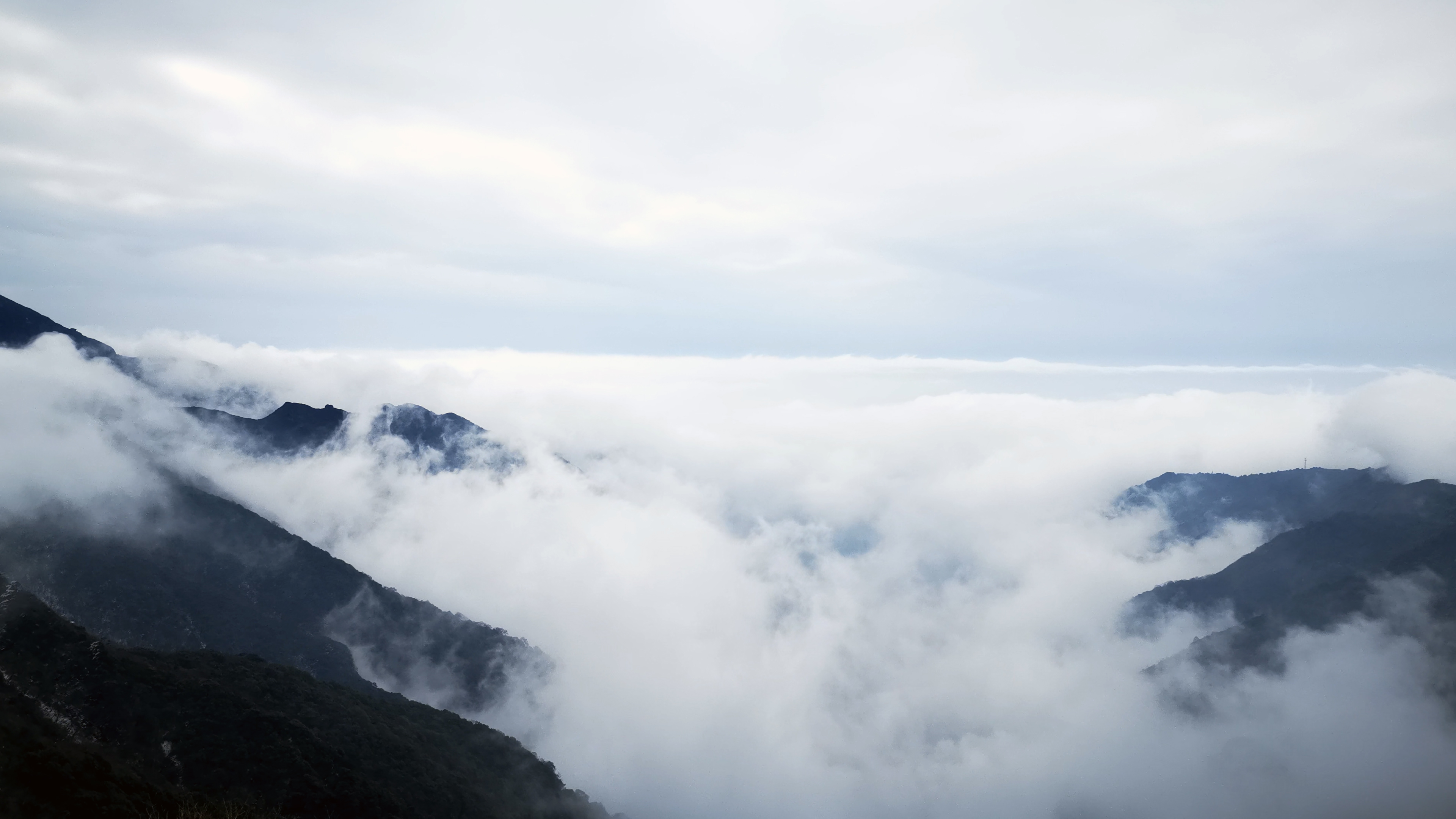 清晨山中云海延时摄影视频的预览图