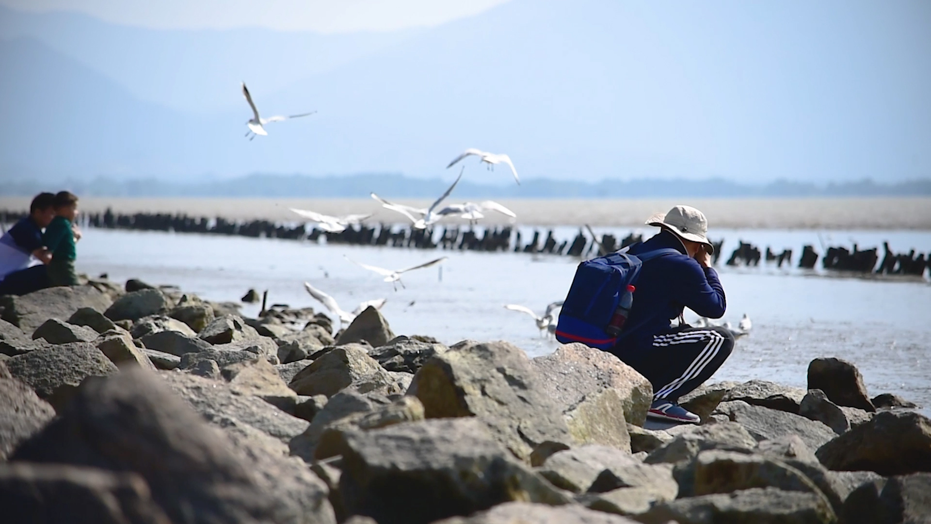 深圳湾拍摄鸟类的摄影师视频的预览图