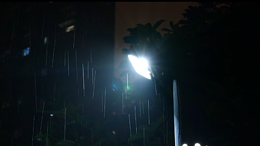 4K雨夜路灯夜晚路灯飘雨视频的预览图