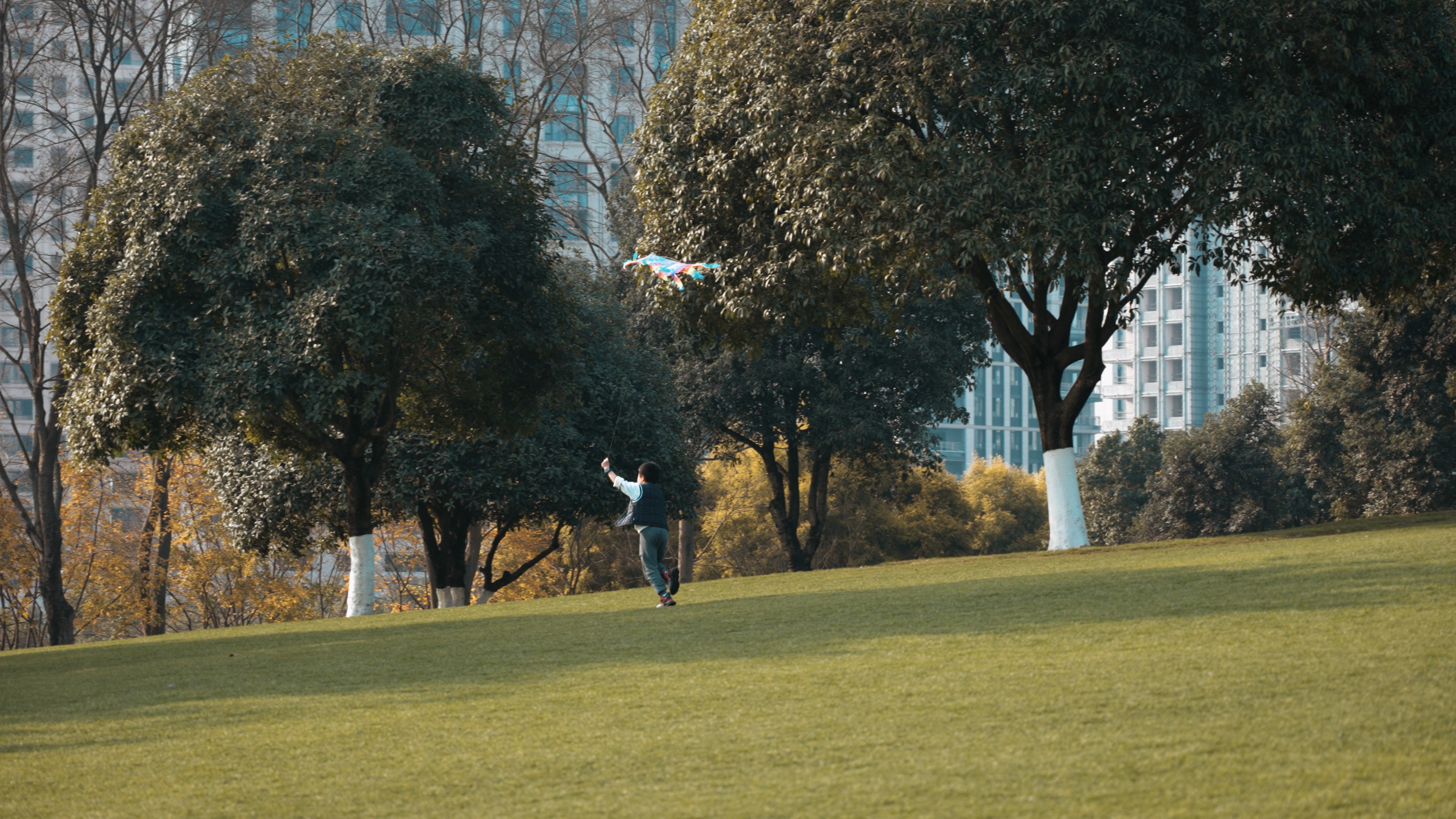 4k小朋友在草坪上奔跑放风筝实拍视频的预览图