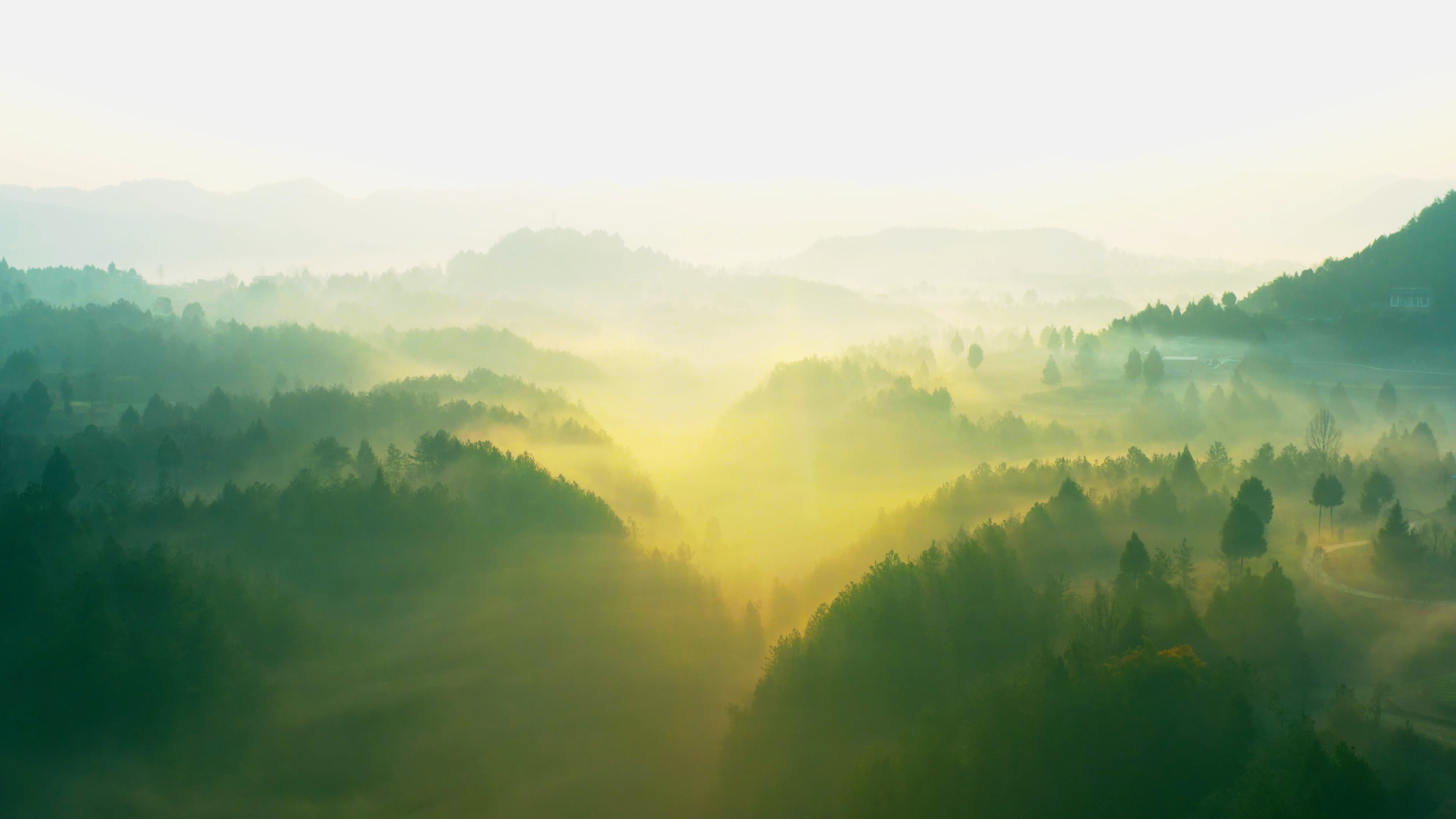4K航拍唯美清晨森林云雾缭绕风景视频素材视频的预览图