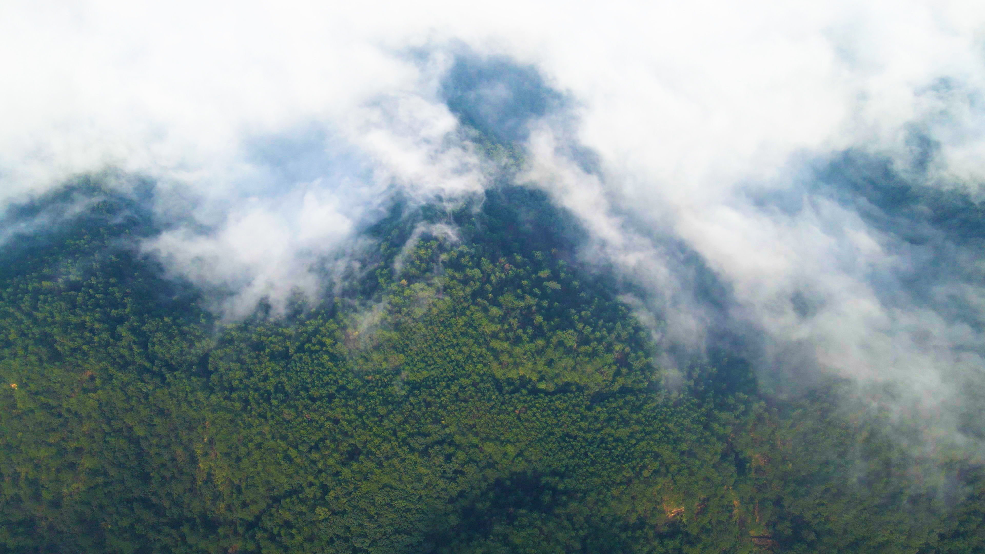 4K航拍森林云雾缭绕自然生态风景视频视频的预览图