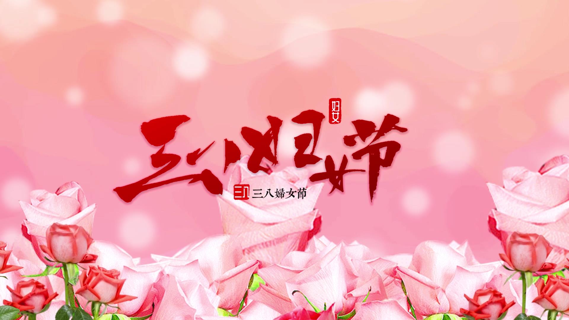 3.8三八妇女节唯美玫瑰花AE模板女王节女神节女生节视频的预览图