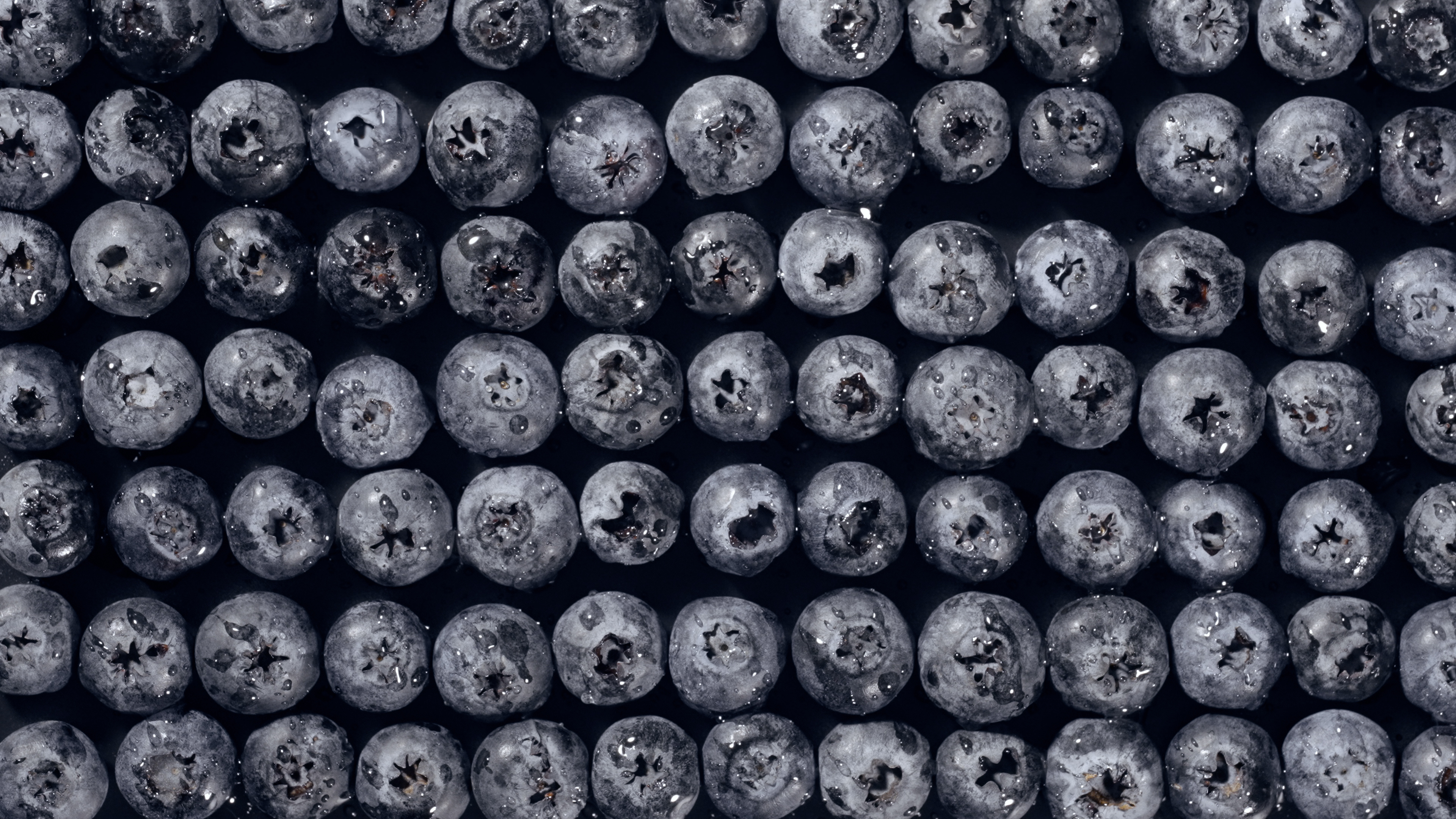 4K新鲜蓝莓水果食材与阳光视频的预览图