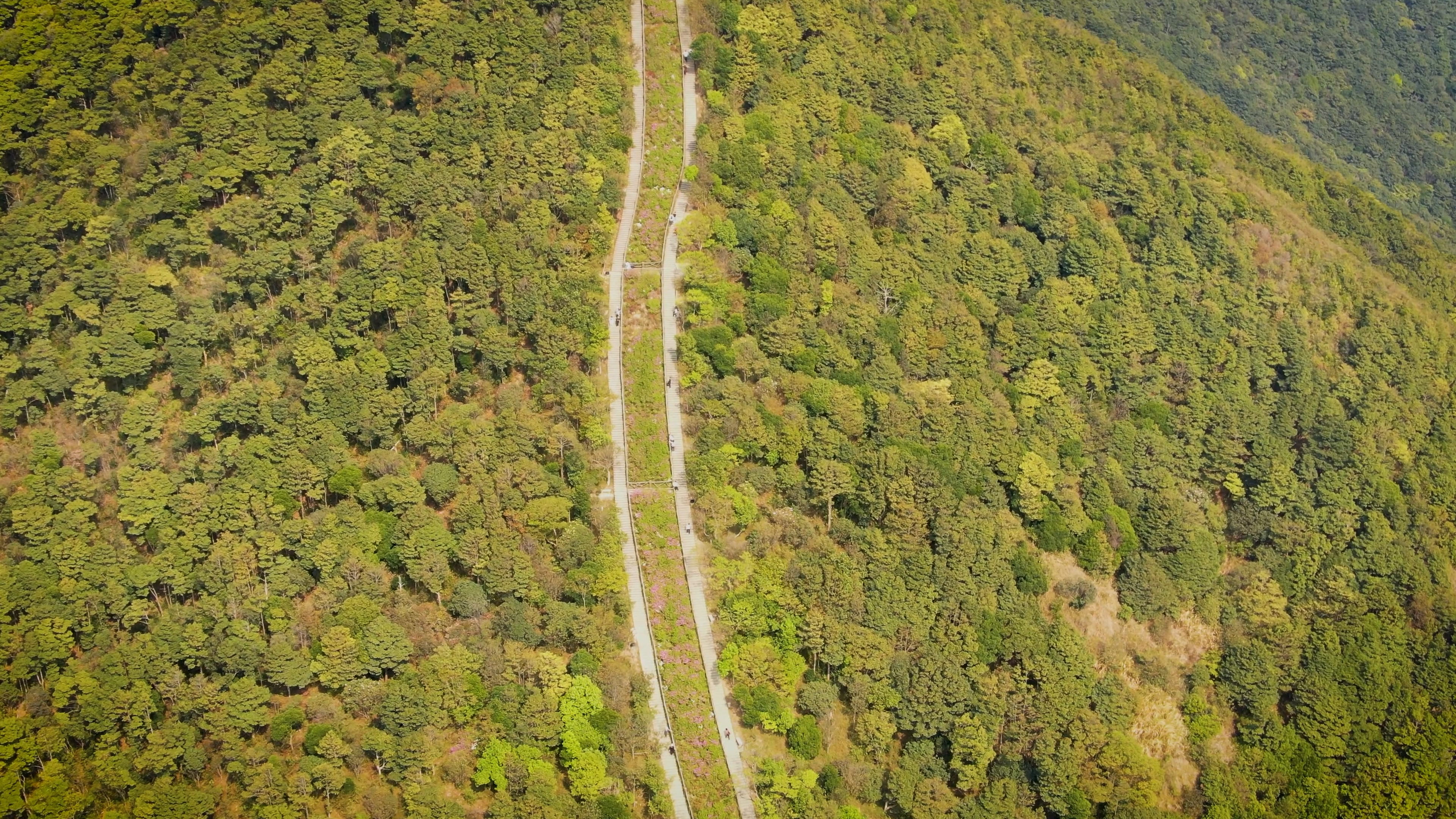 4K实拍春天登山步道运动视频的预览图