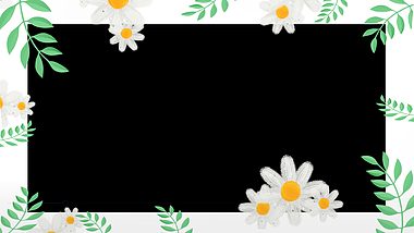 手绘小雏菊花朵视频边框mov视频框动态边框春天边框小清新边框视频的预览图