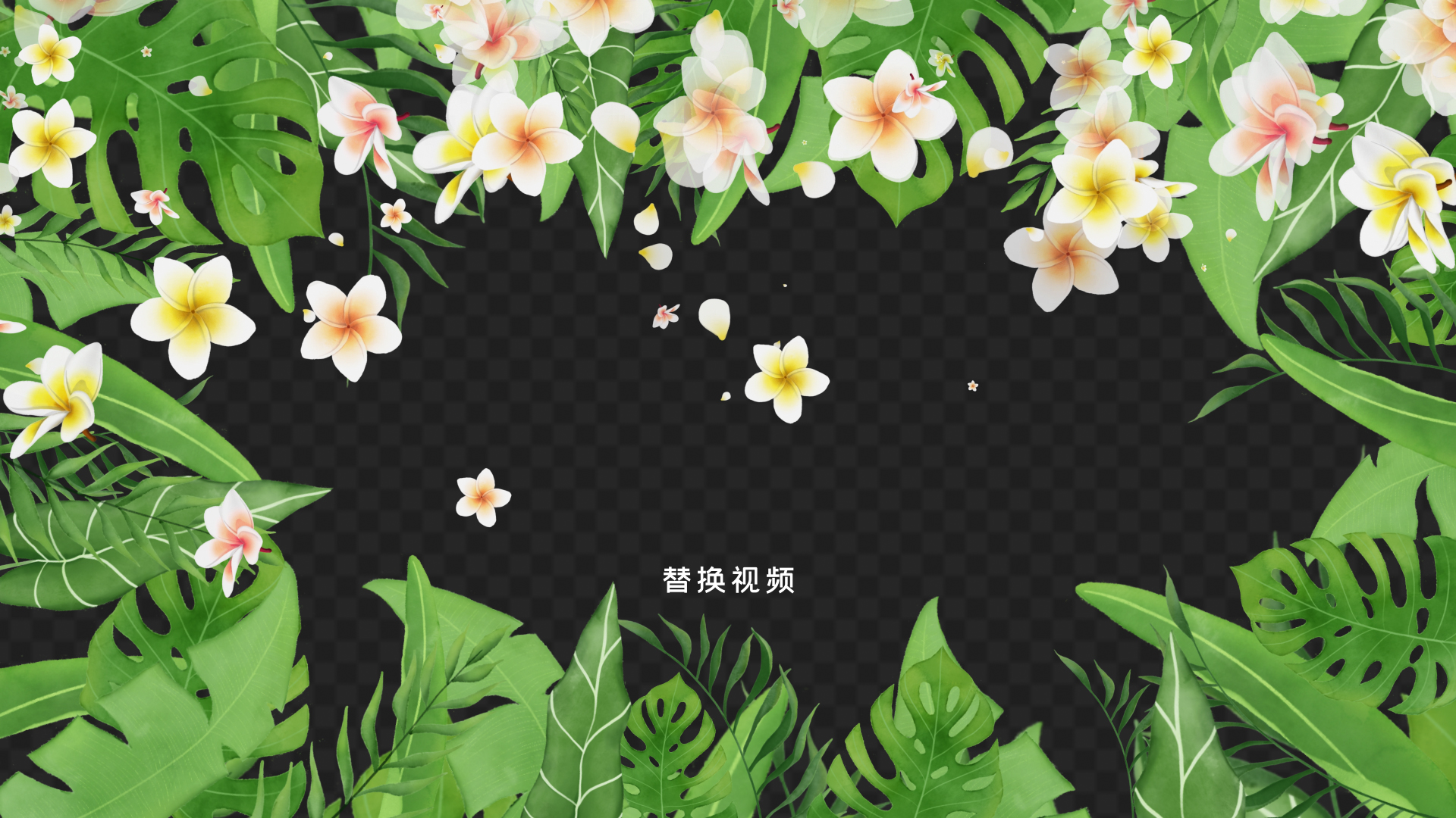 清新春天花朵树叶视频边框透明通道视频的预览图