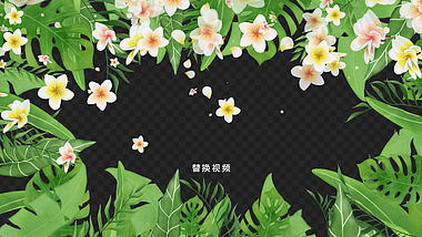 清新春天花朵树叶视频边框透明通道视频的预览图