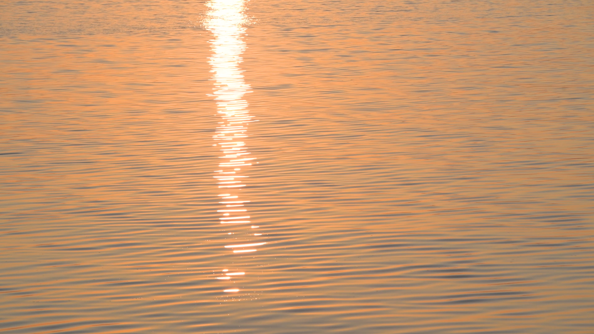 4K波光粼粼的日出水面海面视频的预览图