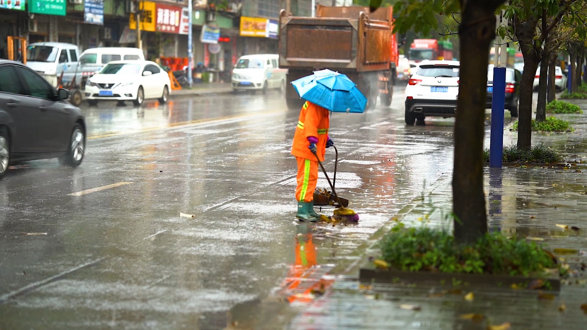 1080P实拍下雨天大雨中扫落叶的环卫工人视频视频的预览图