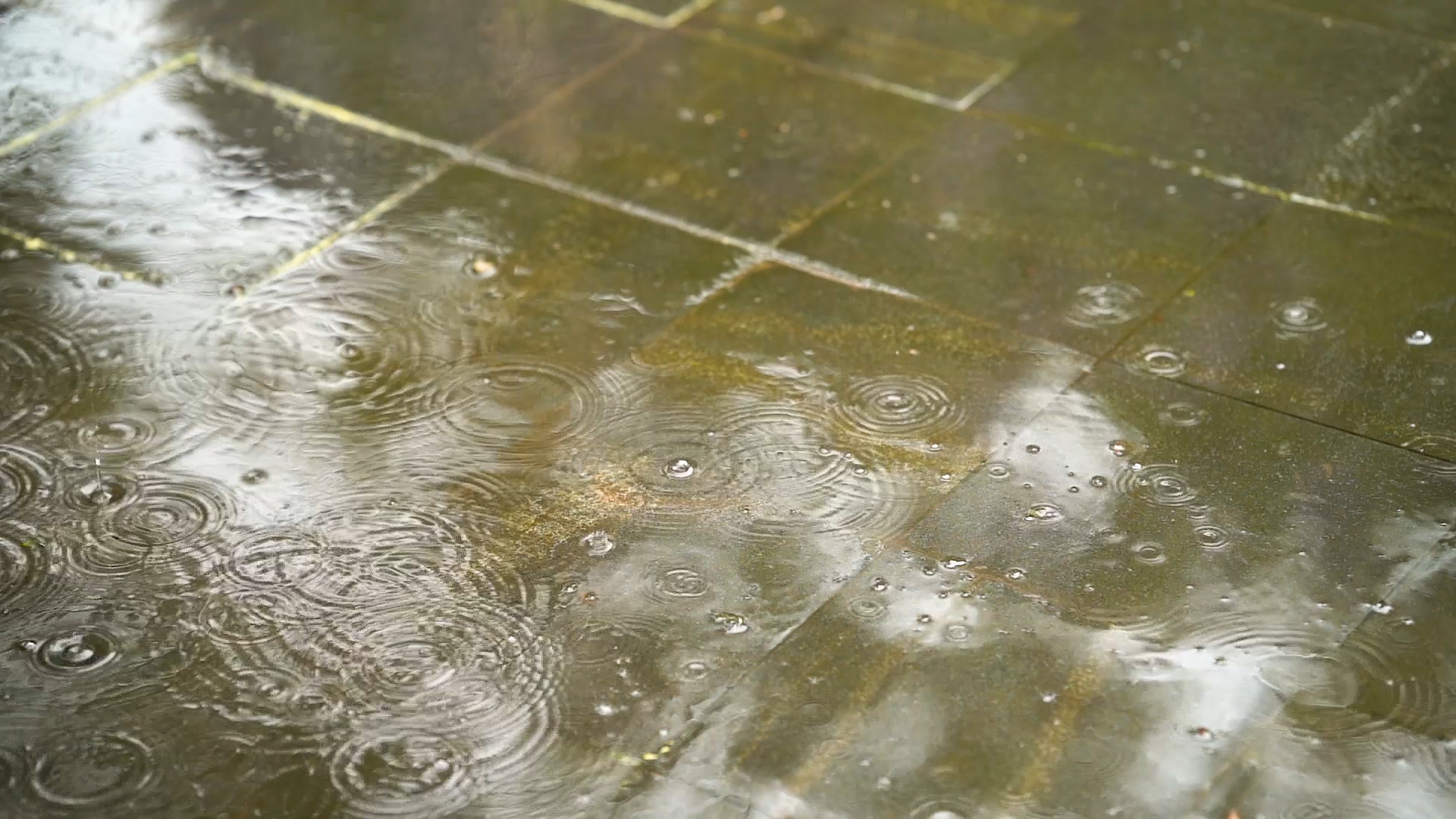 1080P实拍下雨天雨滴地面溅起水波纹升格视频的预览图