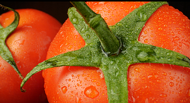 4K西红柿番茄特写水果天然绿色有机蔬菜视频视频的预览图