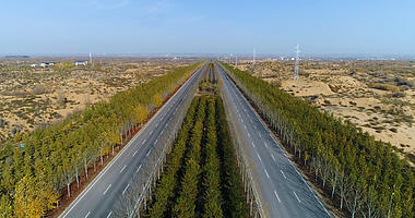 4k陕北沙漠防风固沙林马路两边的树木航拍视频的预览图