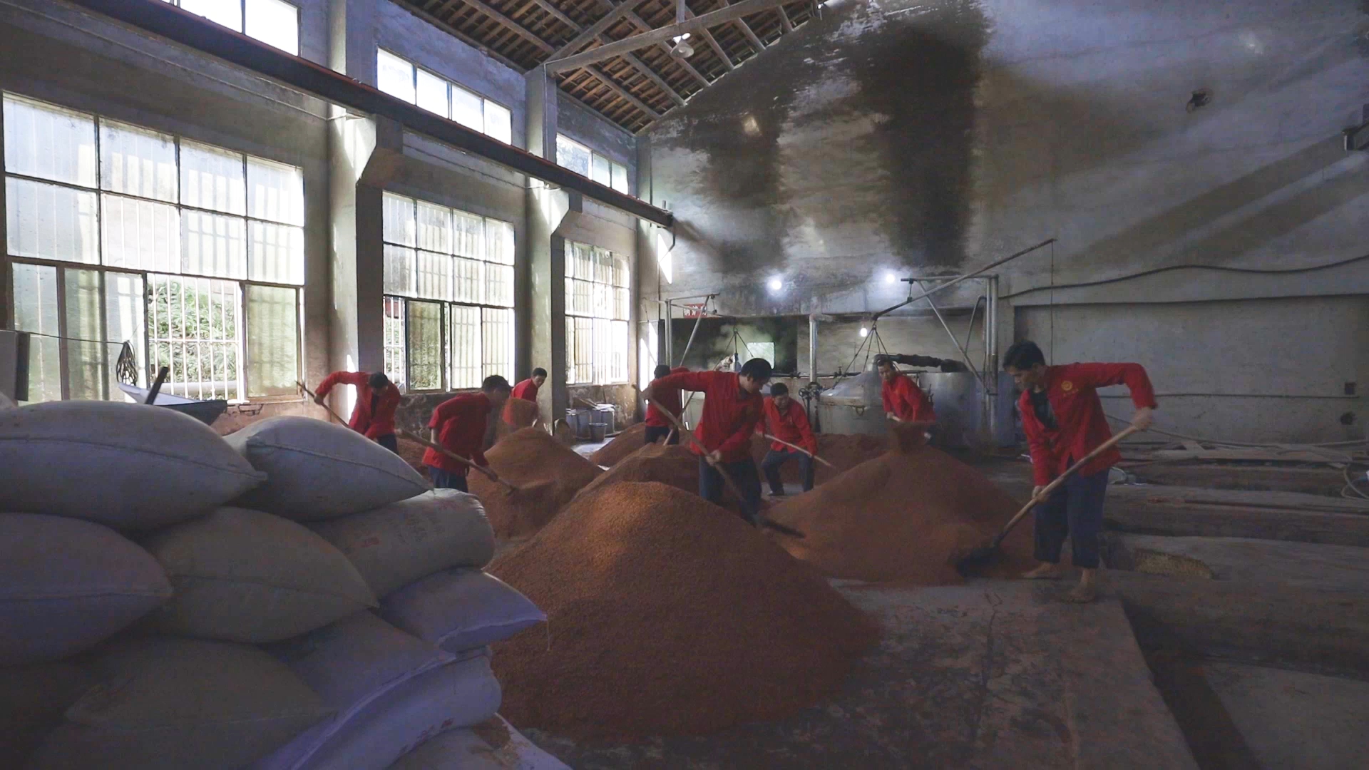 1080酒厂工人翻炒高粱劳动特写视频的预览图