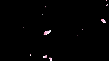 桃花花瓣漂浮素材视频mov带通道小元素春天视频的预览图