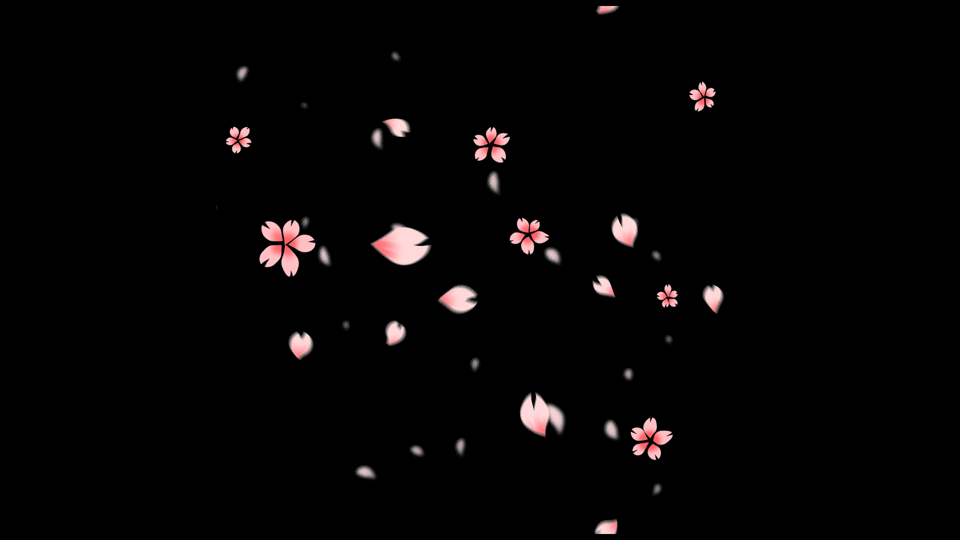 樱花花瓣漂浮素材视频mov带通道模板小元素视频的预览图