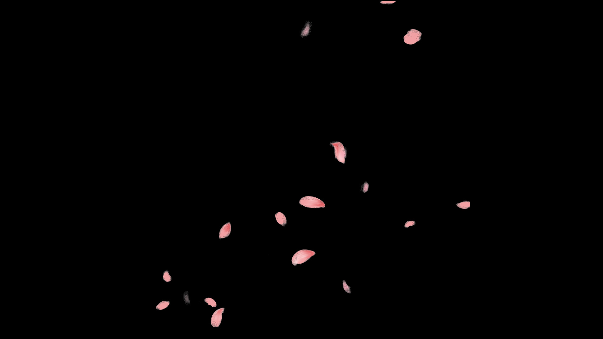 春天粉色花瓣漂浮素材视频mov带通道小元素视频的预览图