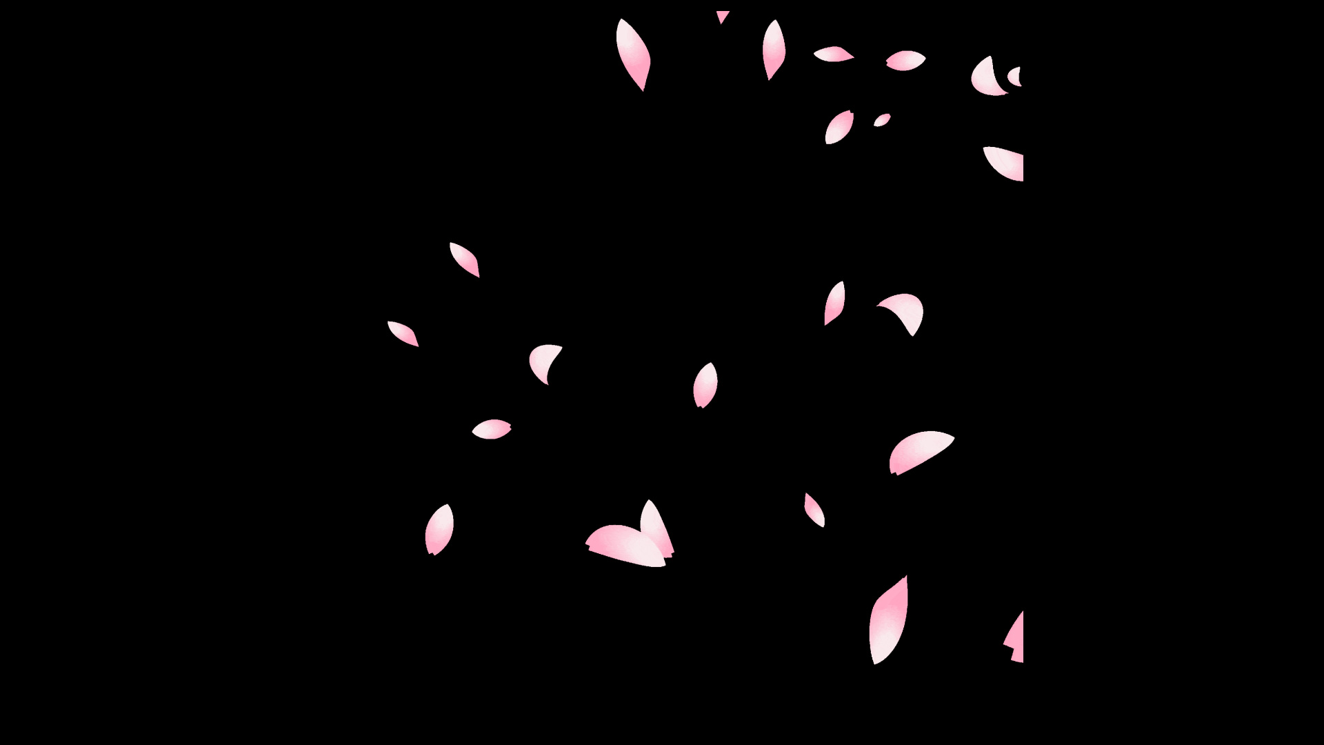 春天春季花瓣漂浮素材视频mov带通道小元素视频的预览图