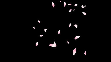 春天春季花瓣漂浮素材视频mov带通道小元素视频的预览图