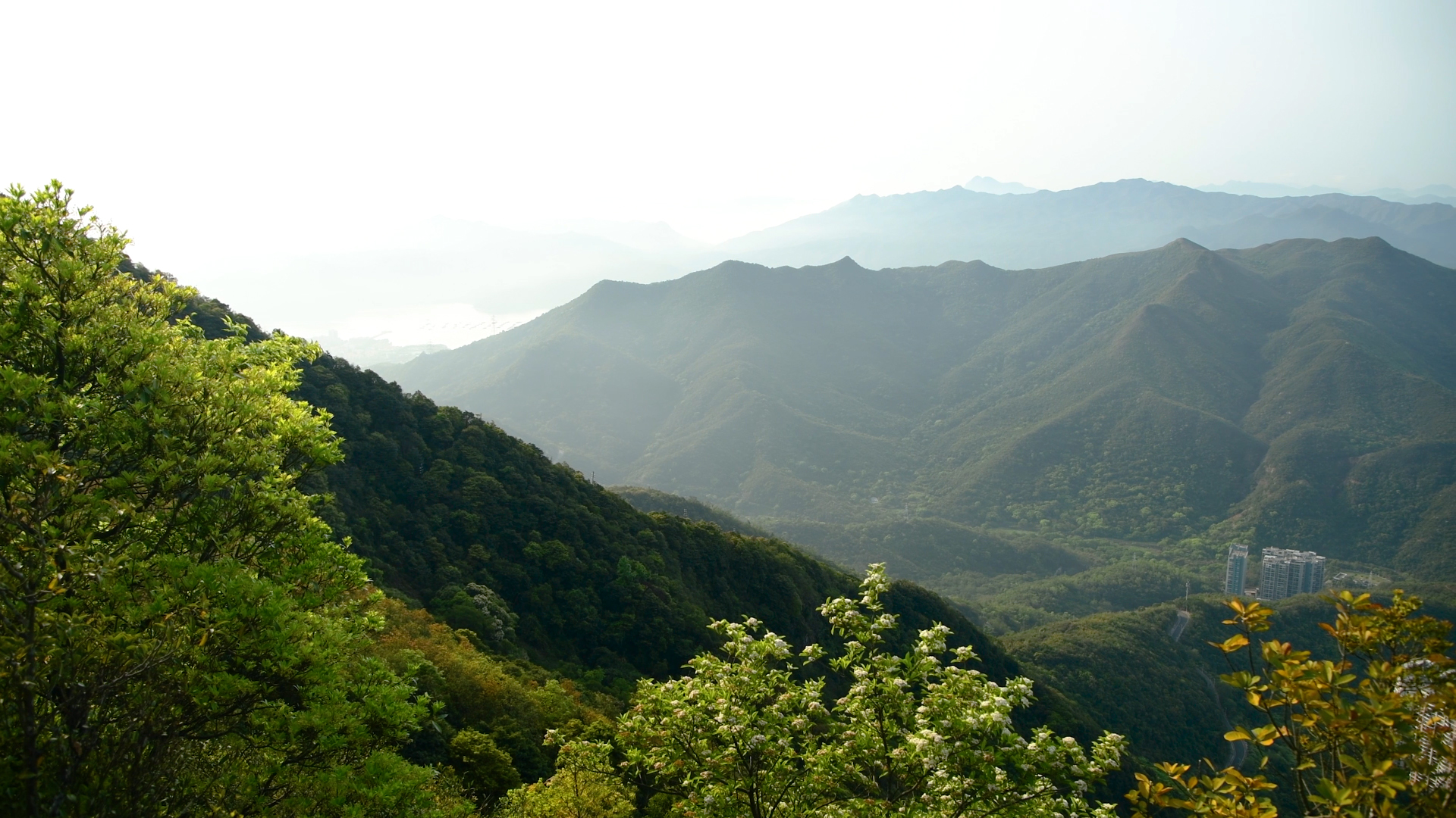 4K深圳梧桐山景区自然风光视频的预览图