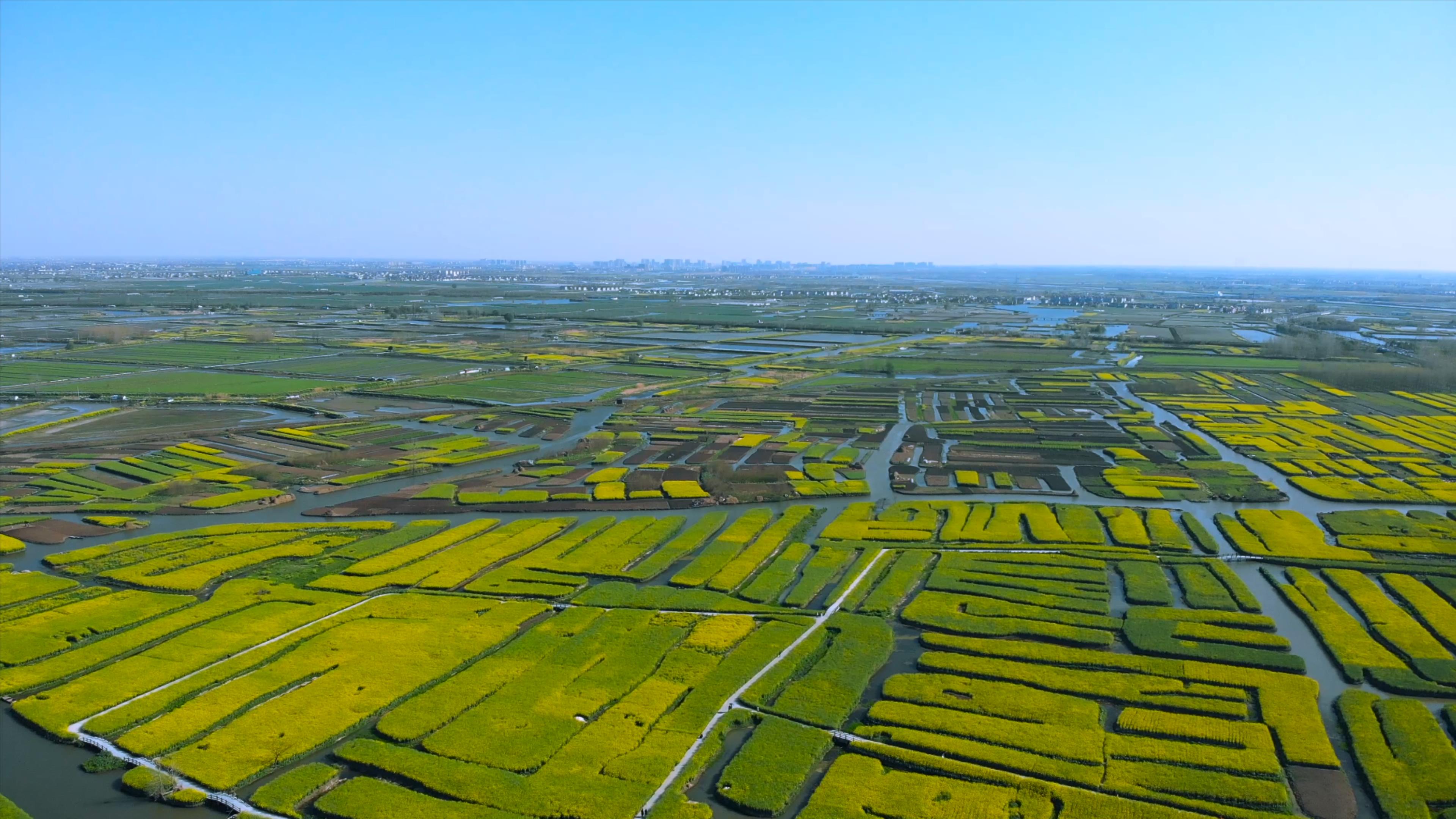 4K航拍美丽乡村油菜花垛田自然风景视频的预览图