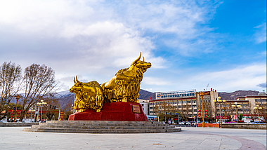 8K西藏拉萨城市地标金牛雕像延时视频的预览图