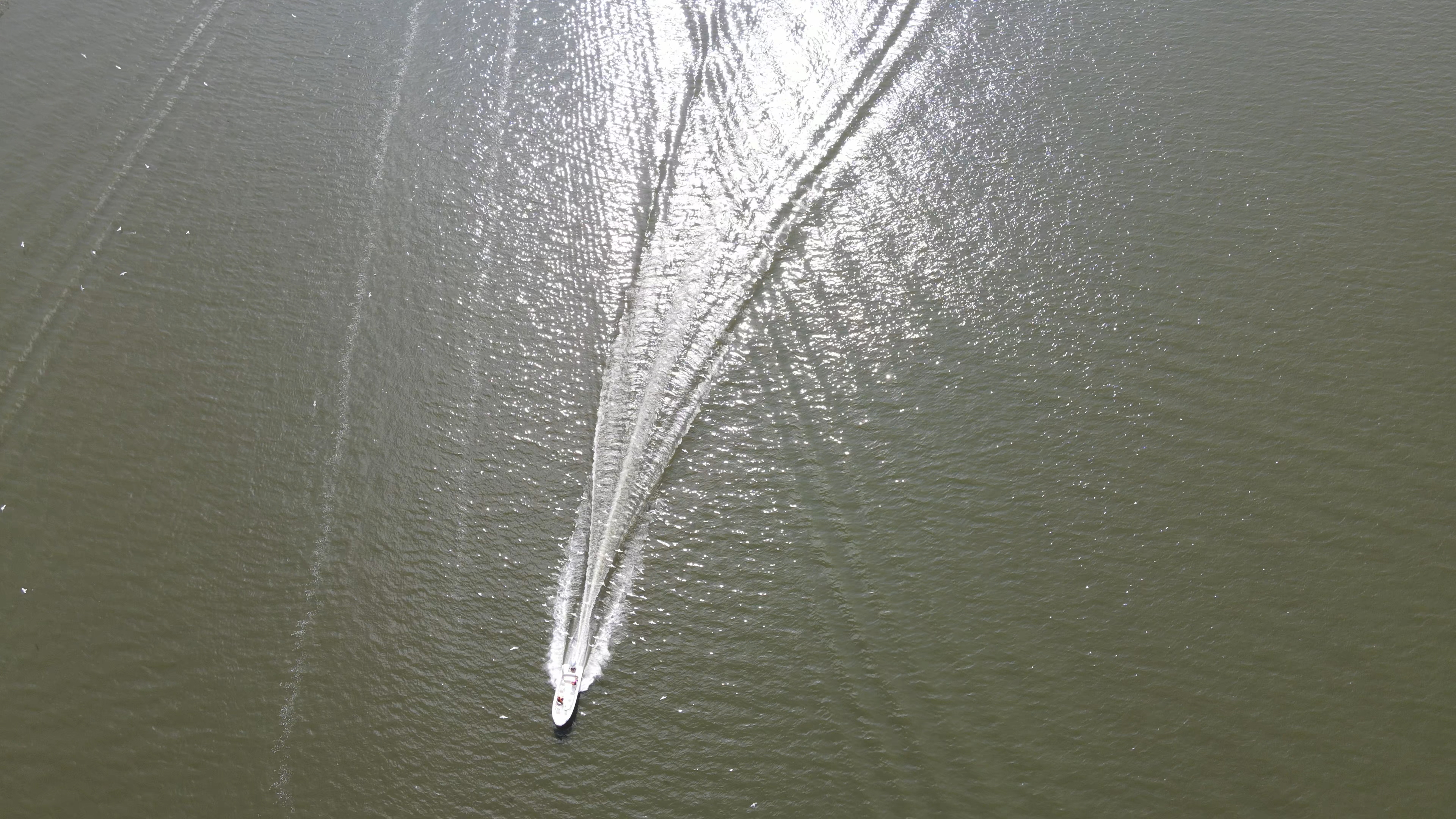 4K航拍海上游艇海鸥飞翔自然风景视频视频的预览图
