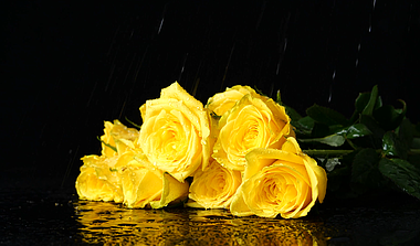 4K玫瑰花黄色玫瑰浪漫鲜花花店营销宣传视频素材视频的预览图