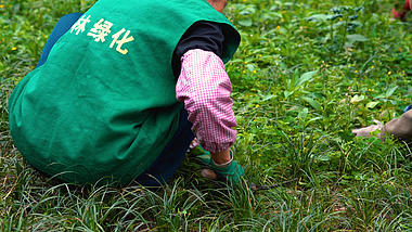 4K实拍绿化工人绿化除草工人工作场景视频的预览图