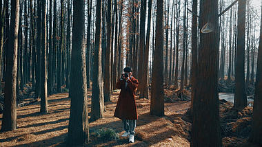4K写意唯美实拍森林里的摄影男孩意境空镜视频视频的预览图