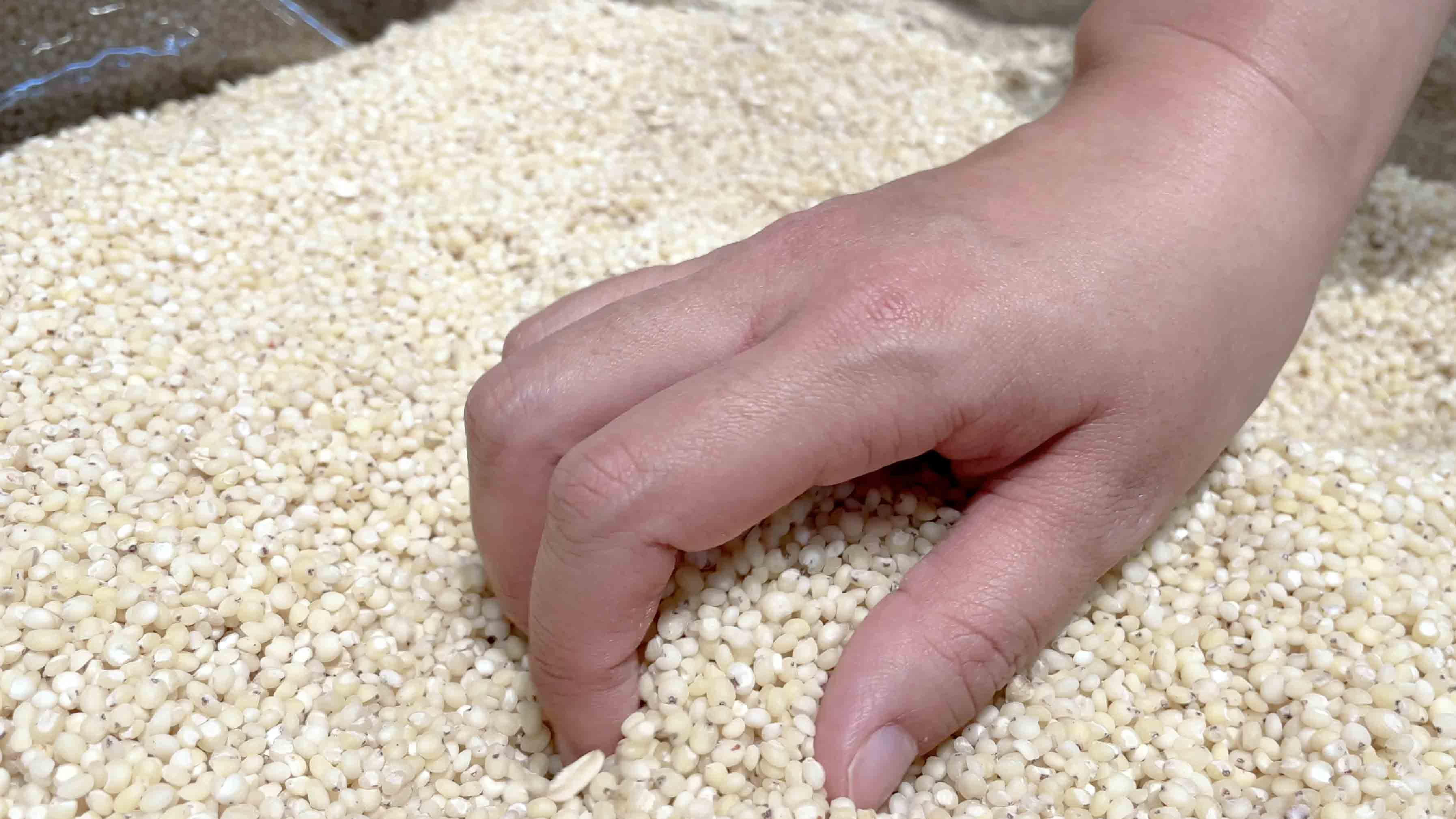 4k五谷杂粮糙米粮食展示淘宝主图视频实拍素材视频的预览图