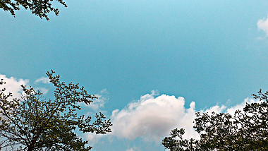 4K晴朗天气斑驳树影简约风景空镜头拍摄视频的预览图