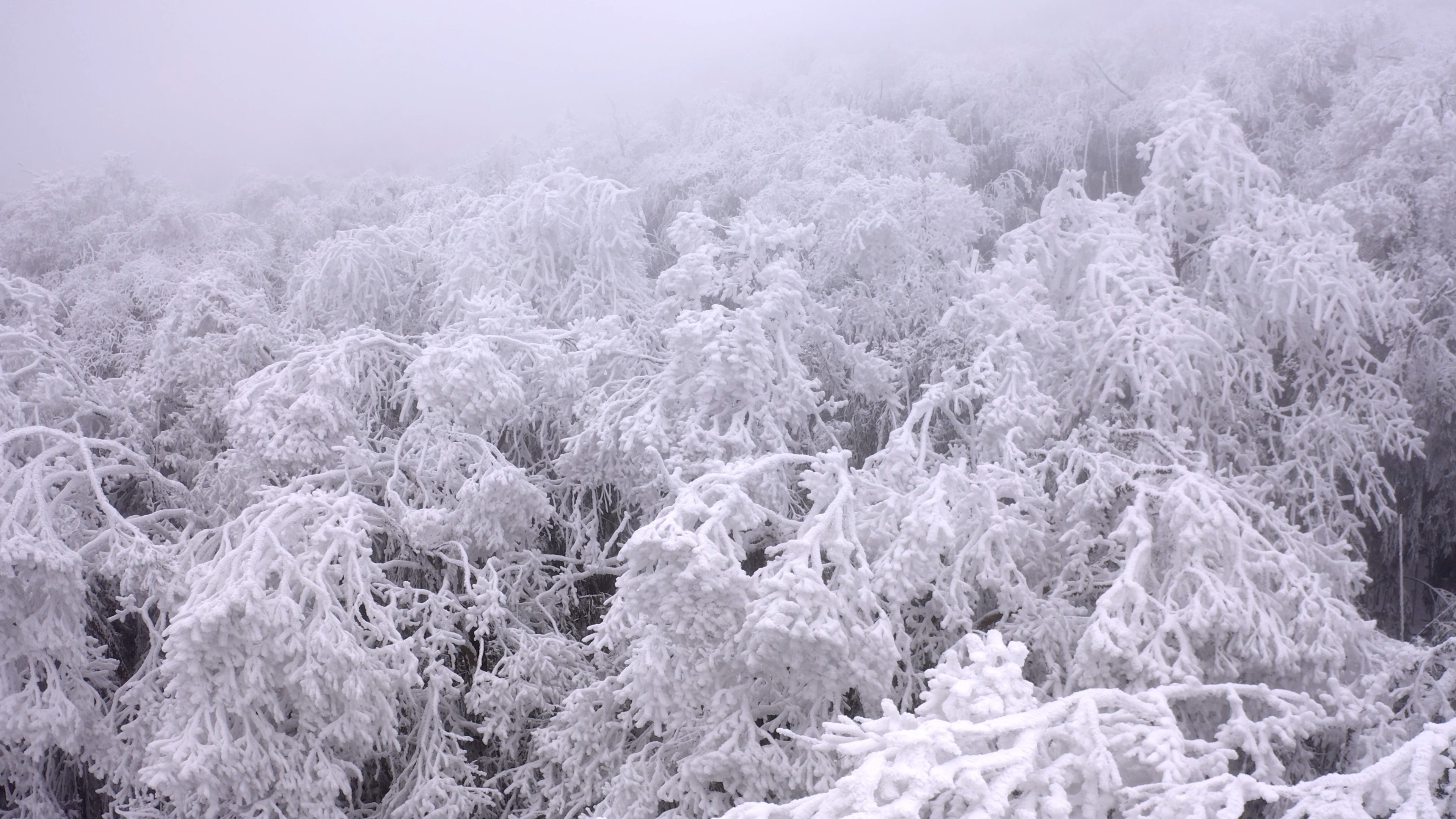 4K实拍冬天山顶雾凇风景视频素材视频的预览图