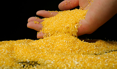 1080升格玉米碎粮食玉米碴黄小米五谷粗粮宣传视频视频的预览图