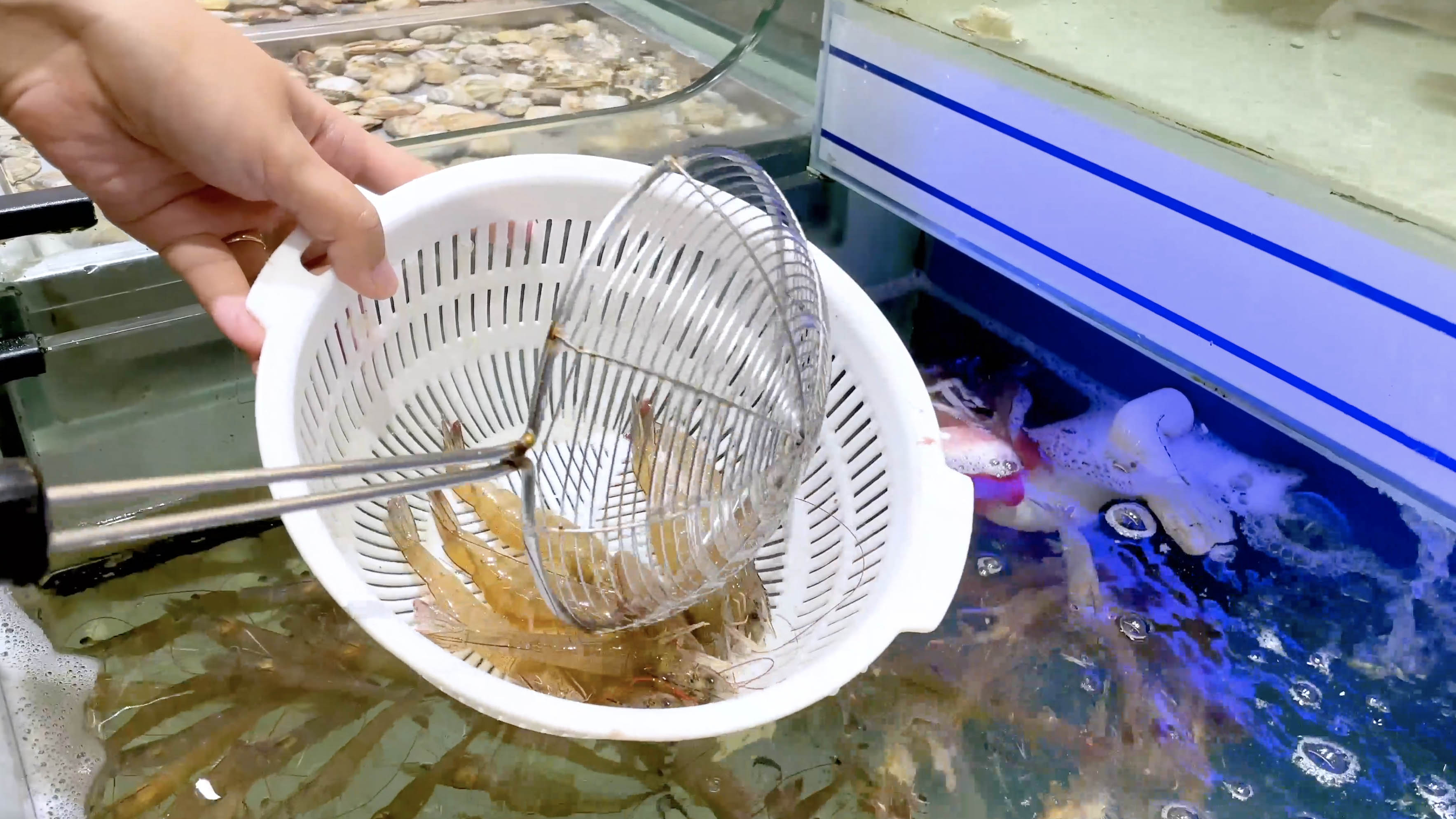 4k实拍水产市场购买海鲜基围虾视频的预览图