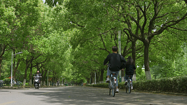 4k夏天林荫大道骑自行车的人空镜视频视频的预览图