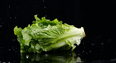 1080升格生菜绿色蔬菜食材餐饮美食广告宣传片视频的预览图