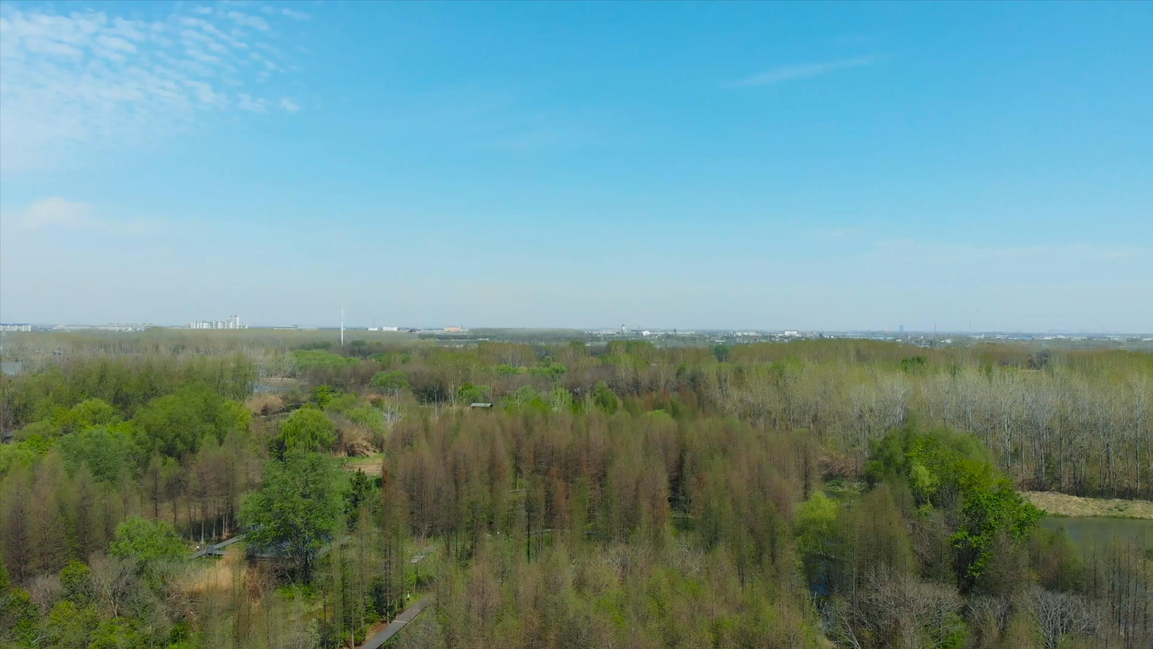 4K航拍郊区乡村绿色树林风景视频视频的预览图