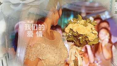 唯美水墨520情人节表白日婚礼相册PR模板视频的预览图