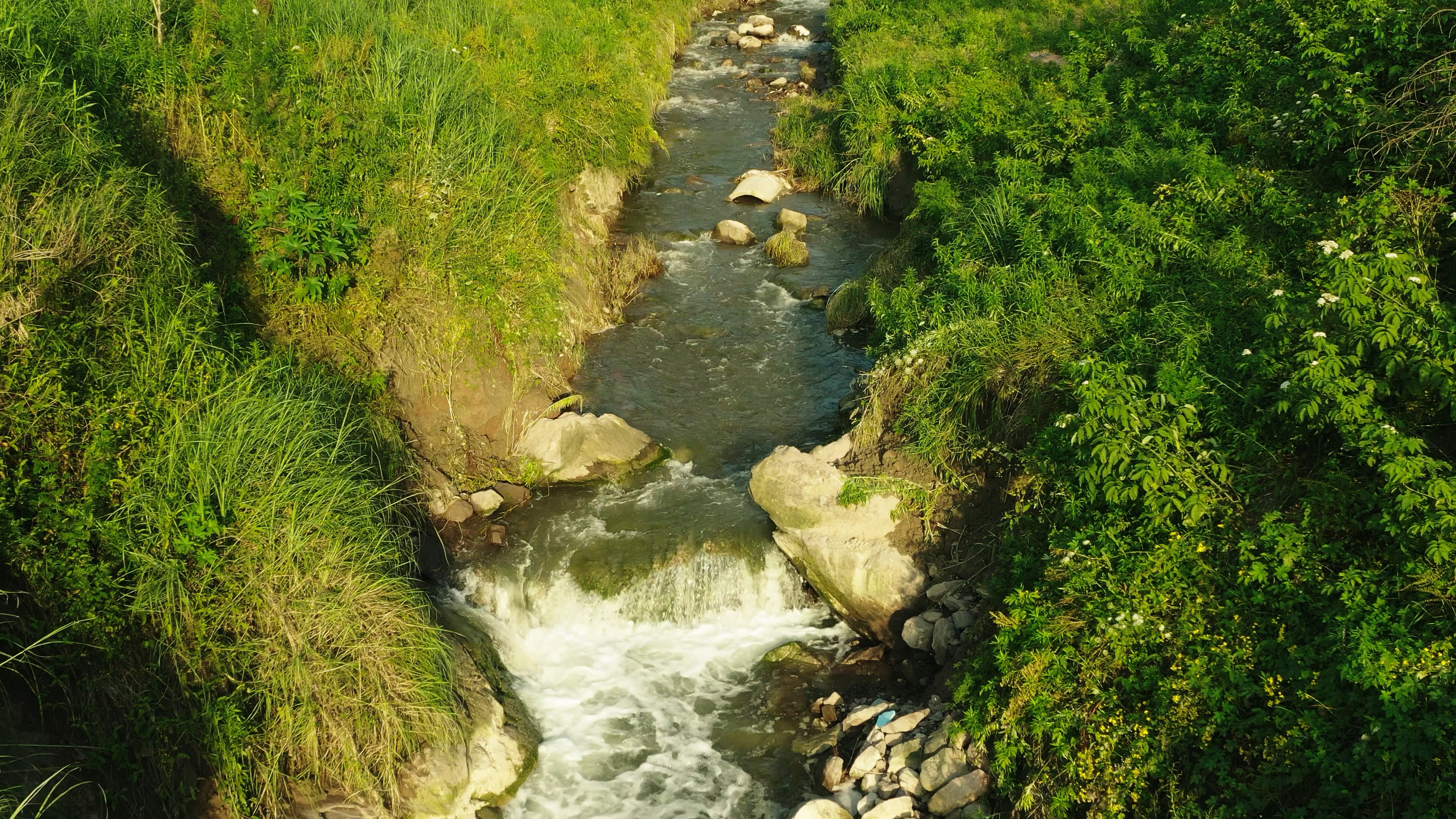 4k航拍阳光下清澈小溪溪流自然景观视频的预览图
