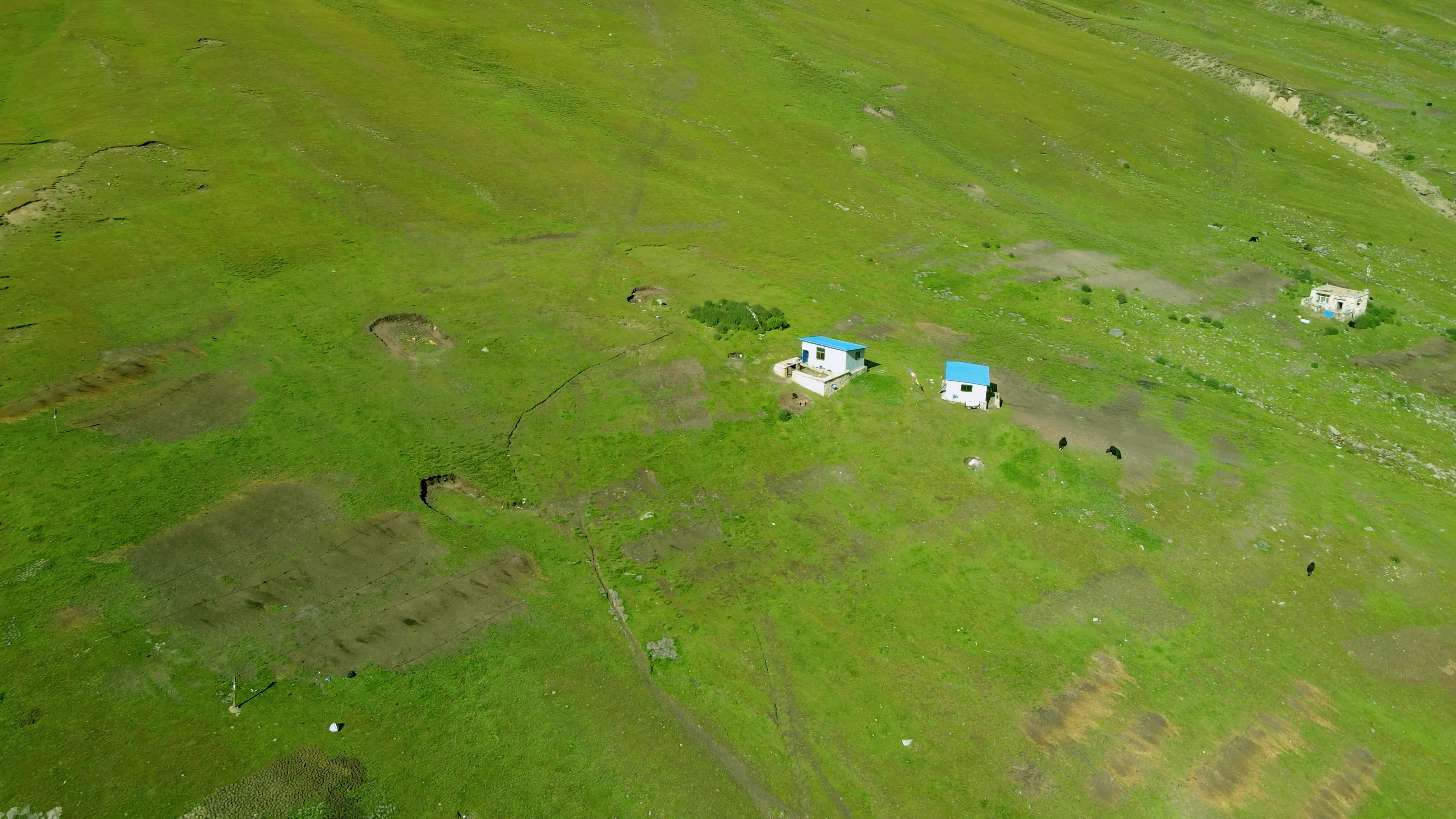 4K夏季新疆呼伦贝尔大草原视频素材视频的预览图