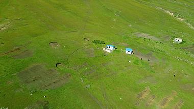 4K夏季新疆呼伦贝尔大草原视频素材视频的预览图