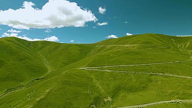 4K夏季西藏高原大草原视频素材视频的预览图