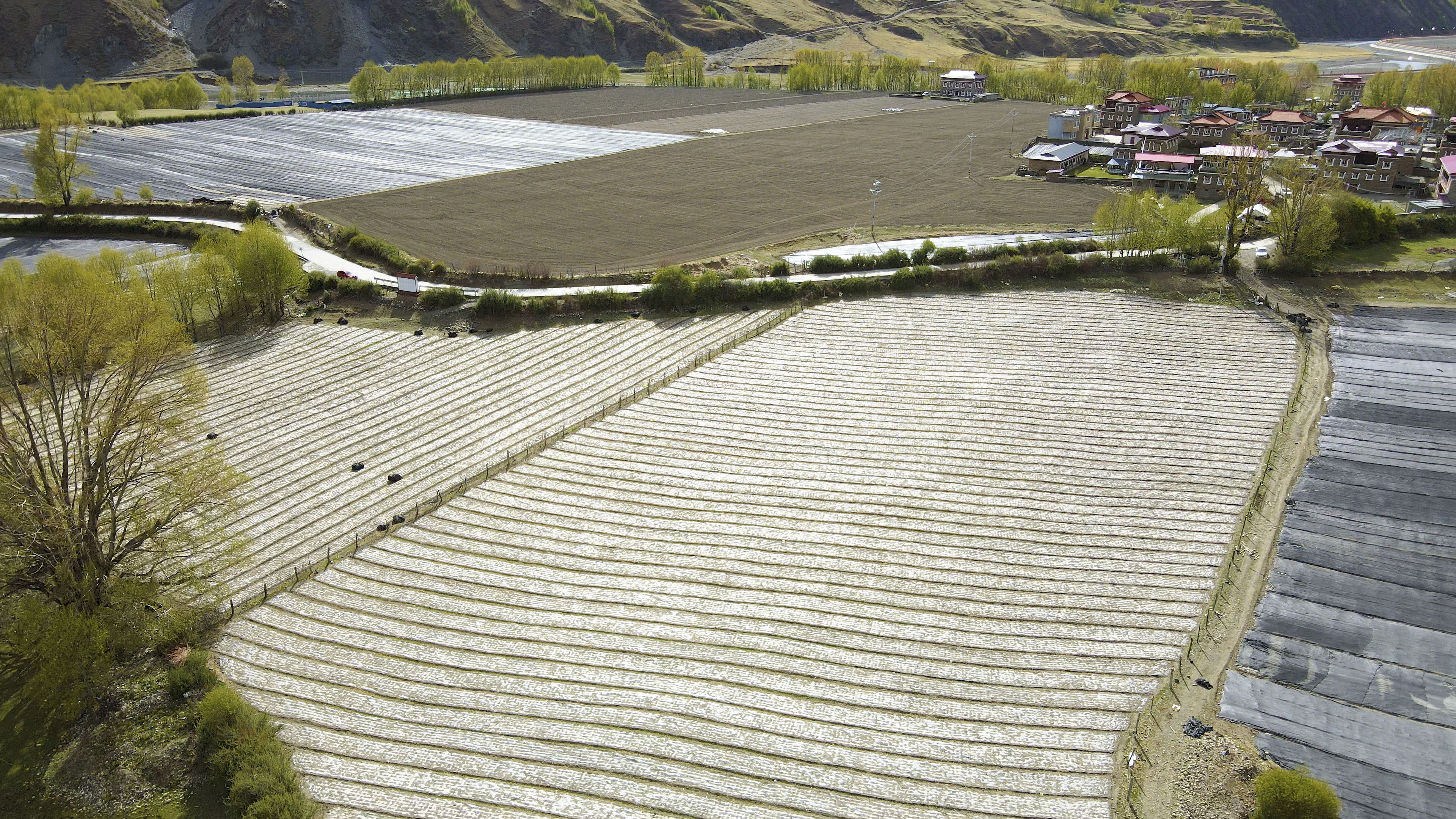 4k航拍高原农田农业种植业农民种地视频的预览图