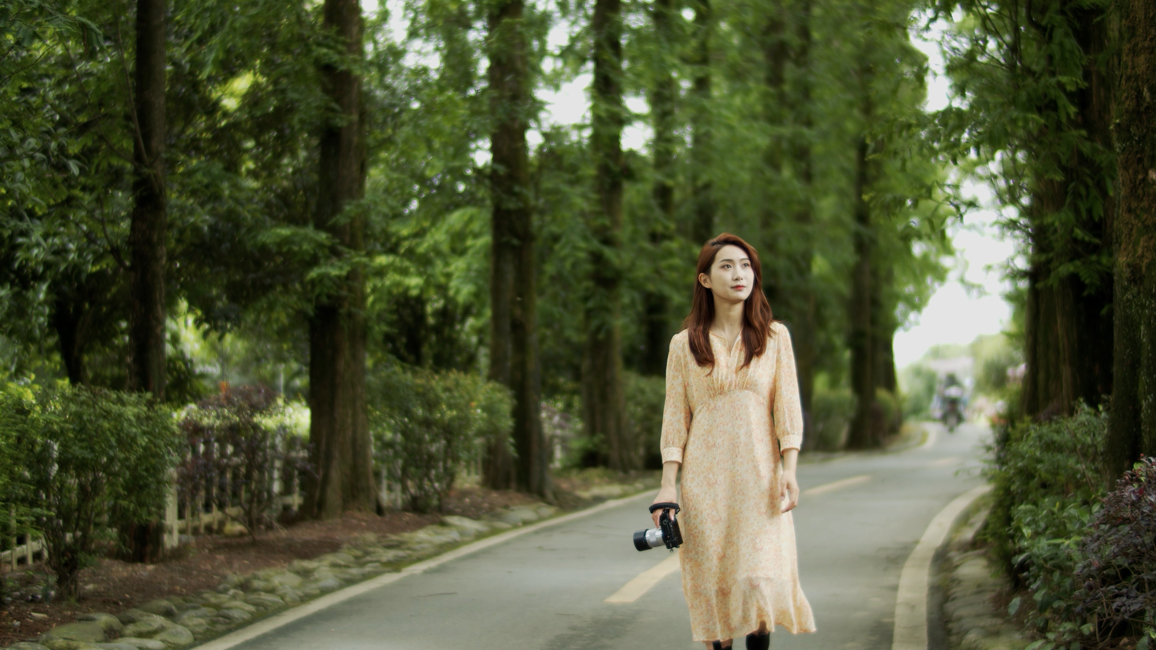 4K实拍美女走在树林公路上拍照旅途中文艺视频视频的预览图