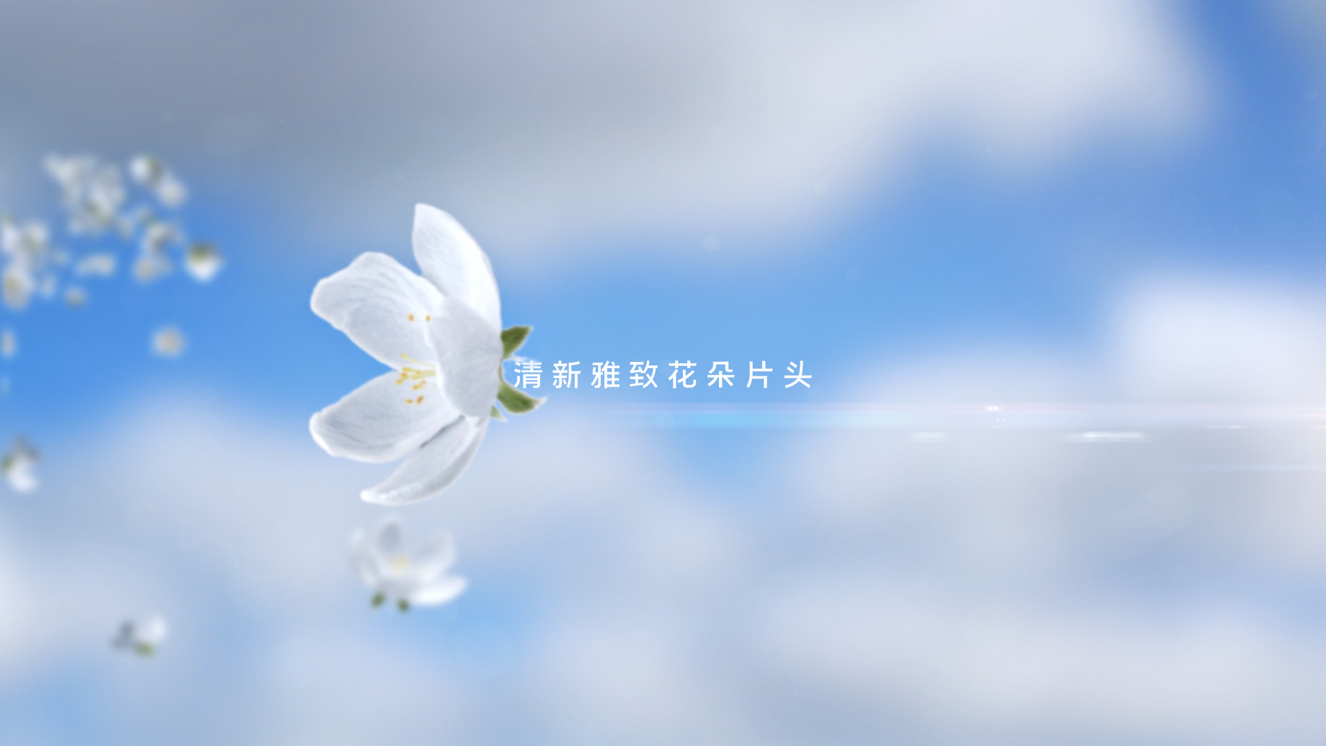 清新雅致简约白色花朵文字简约LOGO片头演绎片尾视频的预览图