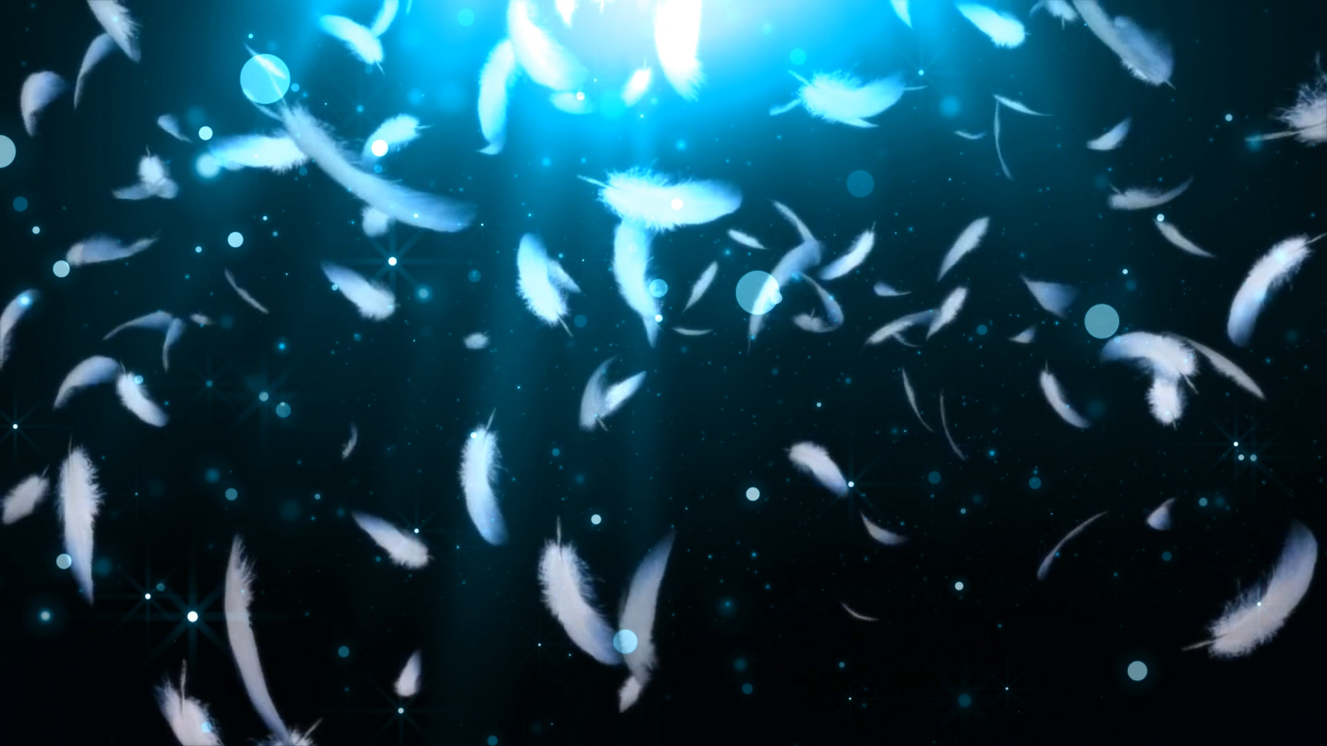 蓝色羽毛梦幻背景视频素材模板视频的预览图